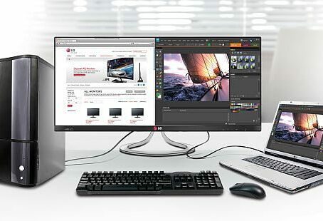 LG UltraWide Monitor Dual