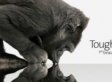 GorillaGlass 4jpg