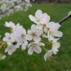 Samsung Galaxy S8 camera sample 9