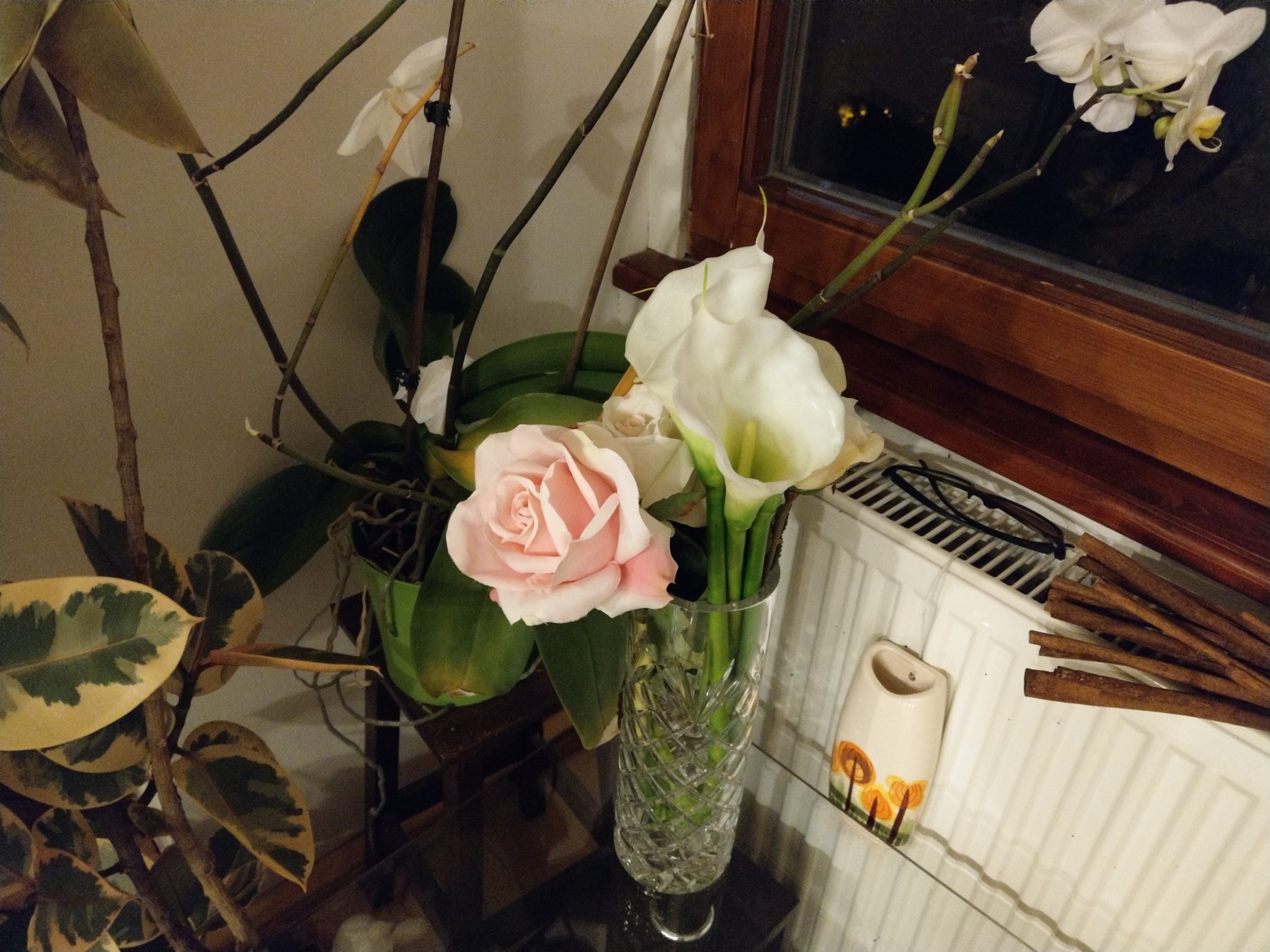 HTC U11 low light fotografija 5