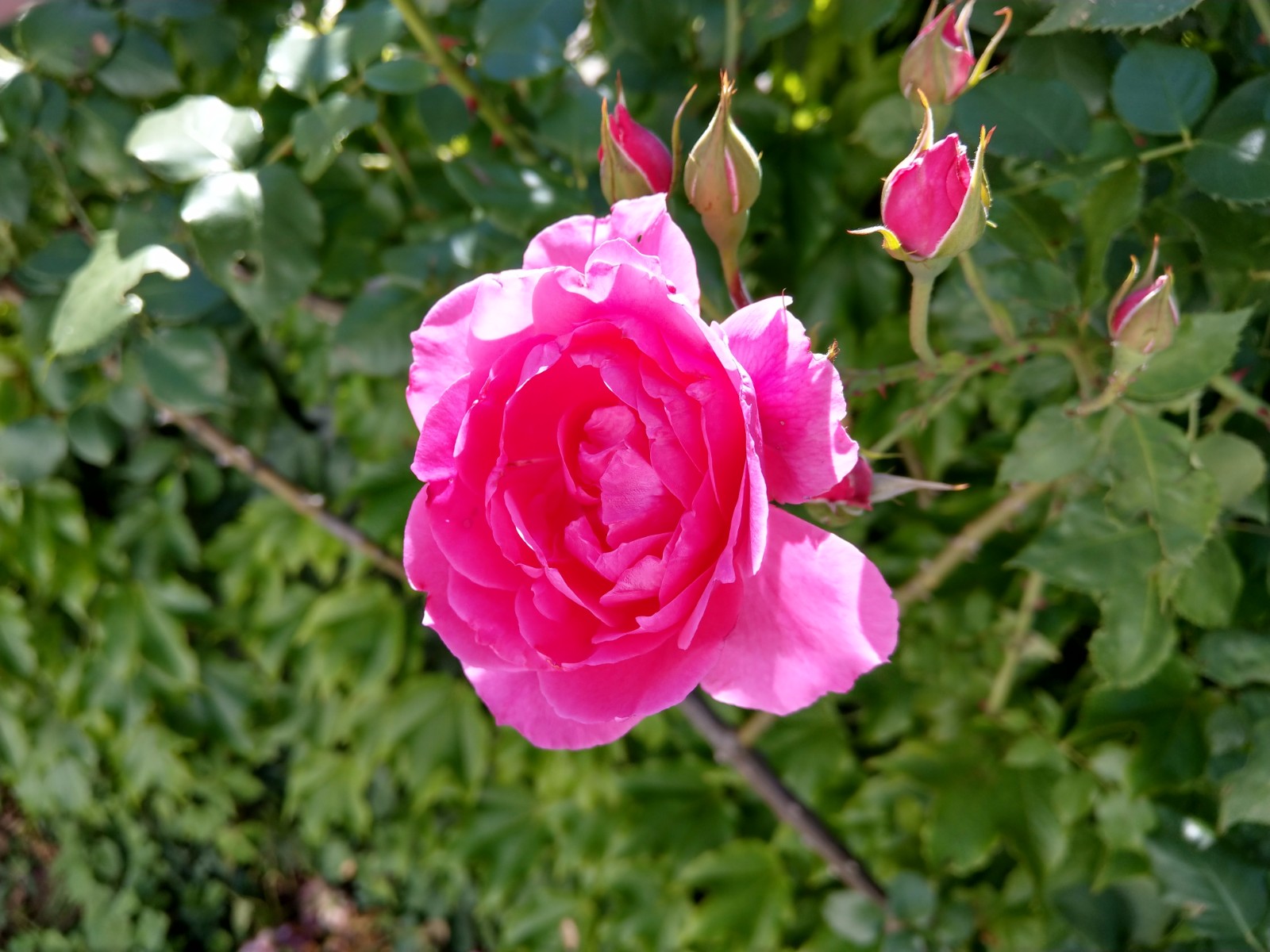 HTC U11 test fotografija 9