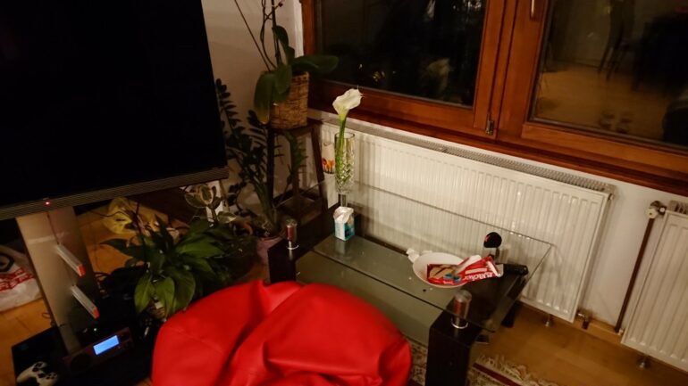 Sony XZ Premium testne fotografije 14