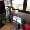 Vivax Fly V1 test foto 18