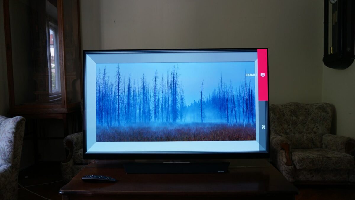 LG OLED55E8V 9