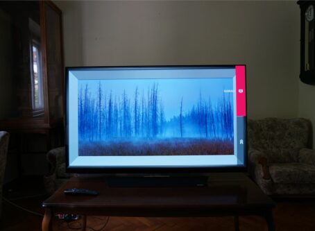 LG OLED55E8V 9