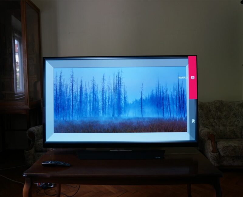 LG OLED55E8V 9