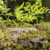 Sony XZ2 Premium kamera sample 2