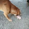 Xiaomi Redmi 6 kamera sample 23