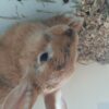 A50 camera sample 14