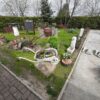A50 camera sample 25