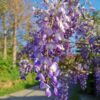 Huawei P30 kamera test 11