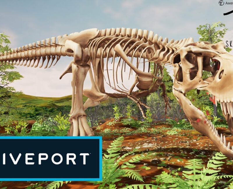 T rex Skeleton Crew