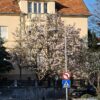 S20 Ultra 5x zum