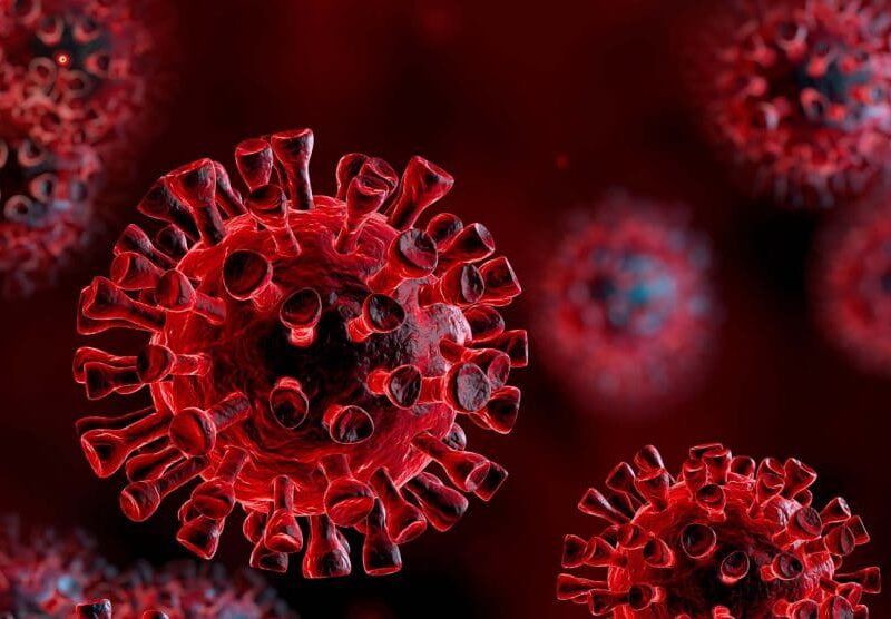 koronavirus