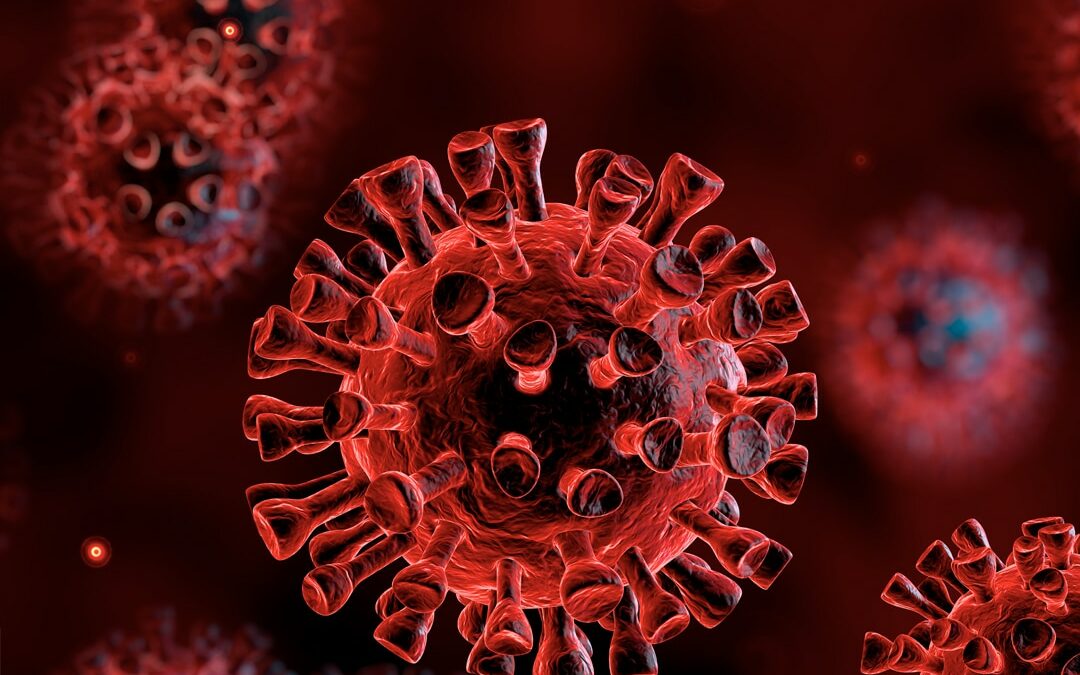 Coronavirus COVID 19