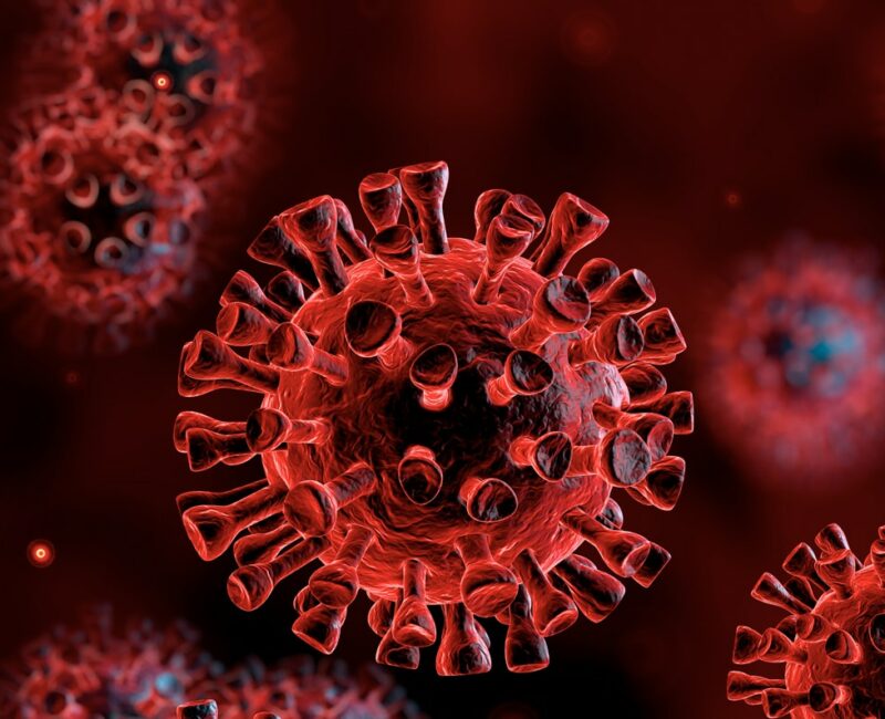 Coronavirus COVID 19