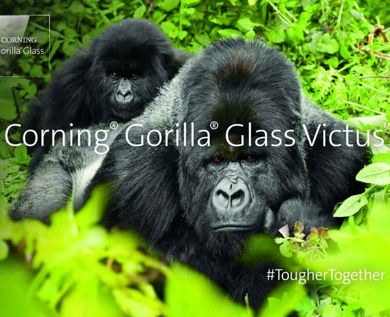 Gorilla Glass Victus