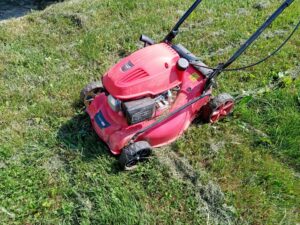 Y6p test foto 1 scaled