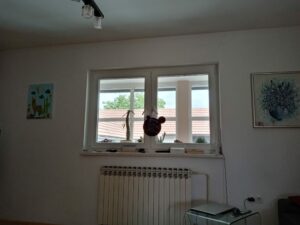 Y6p test foto 14 scaled