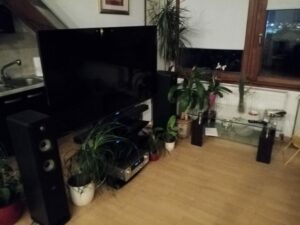 Y6p test foto 22 scaled