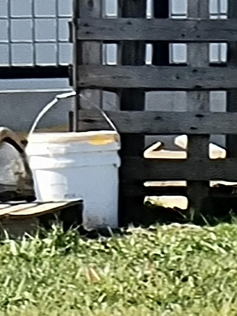 20210228 141024 scaled