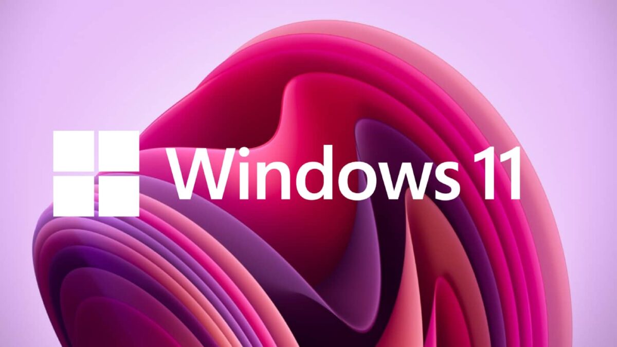 Windows 11 #3