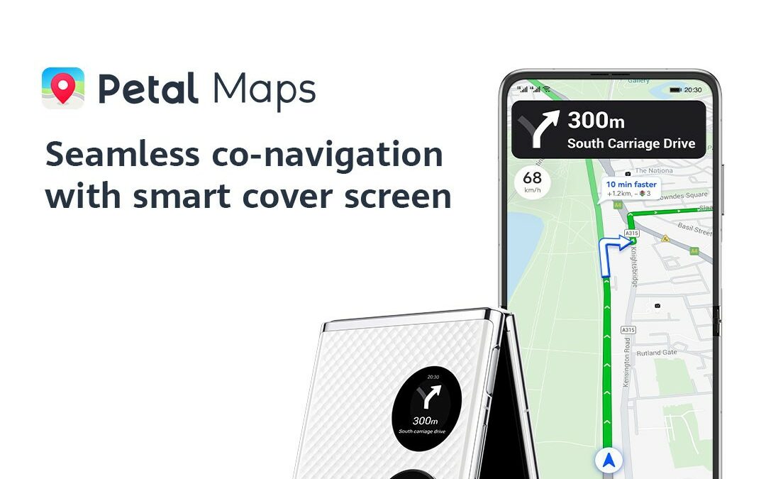 KV petal maps P50 Pocket square