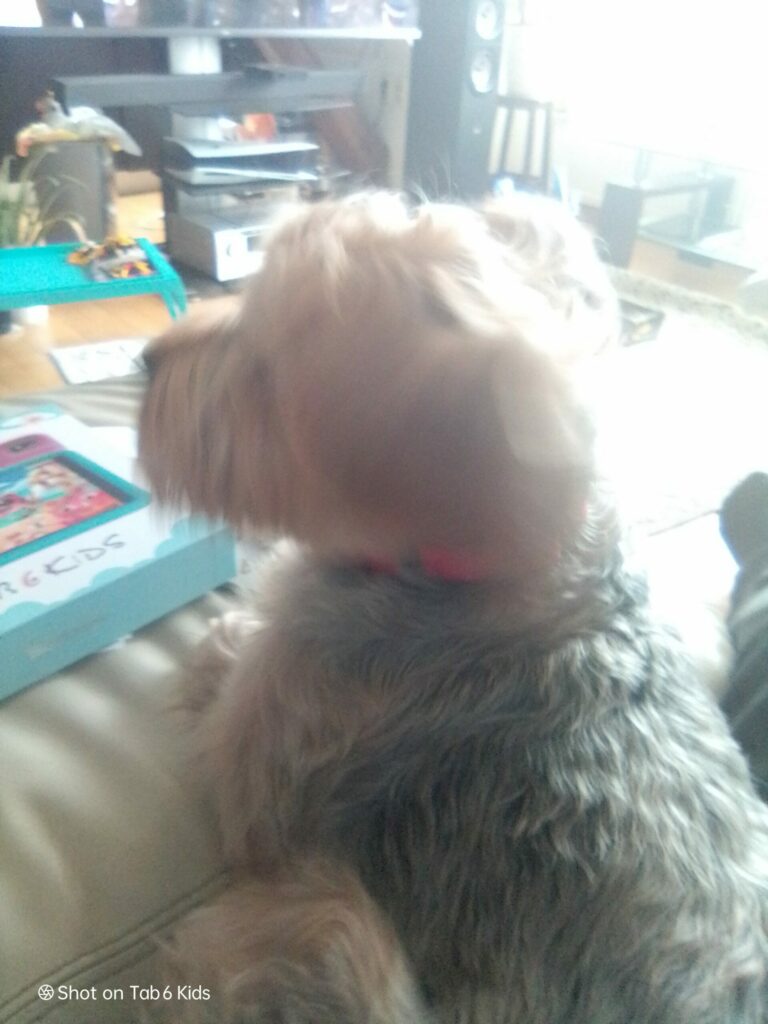 Blackview Tab 6 Kids 22 scaled