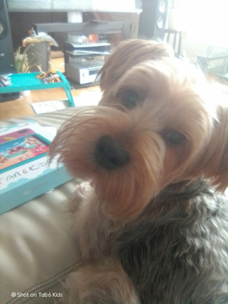 Blackview Tab 6 Kids 23 scaled