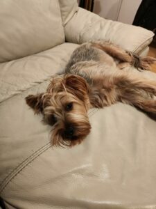 Xiaomi 12 Pro kamera 24 scaled