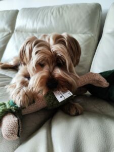 Xiaomi 12 Pro kamera 29 scaled