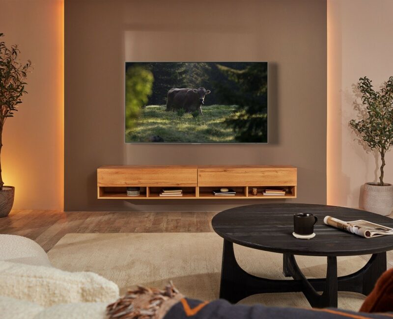 S95B OLED Lifestyle Feature Image 2 High Res tiff