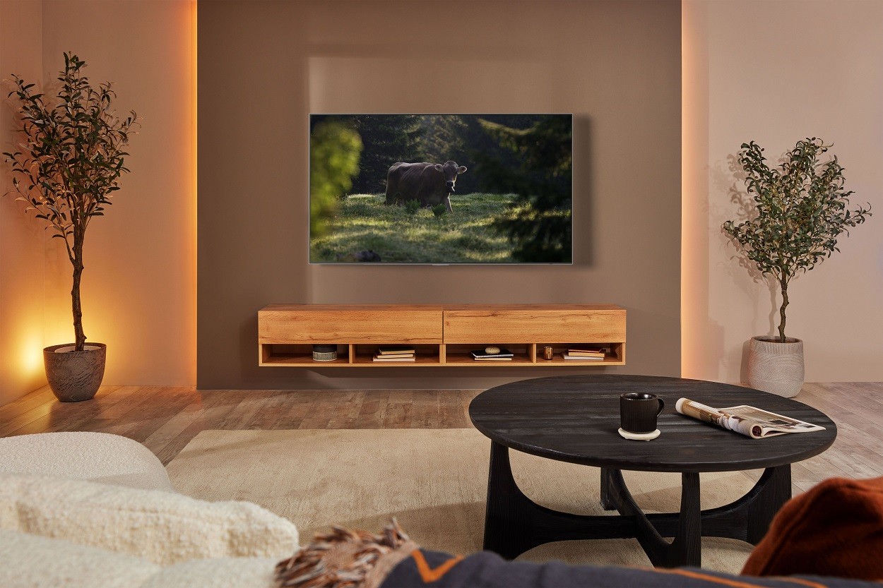 S95B OLED Lifestyle Feature Image 2 High Res tiff