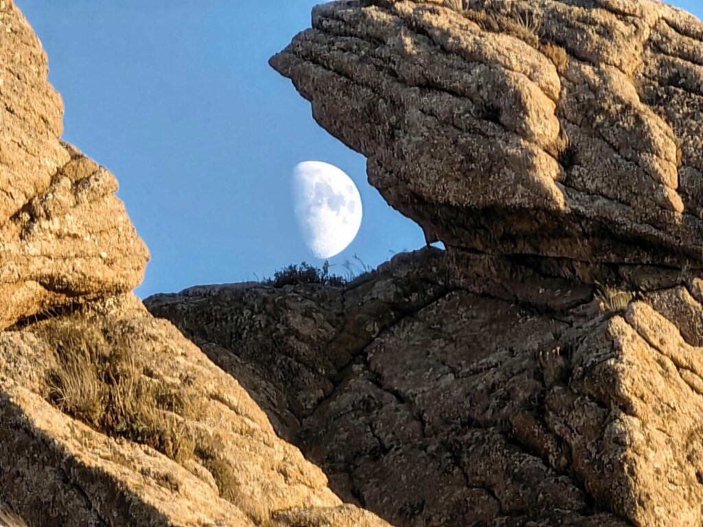 HUAWEI Mate 50 Pro 04 scaled