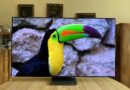 Samsung QD OLED TV QE65S95B 22