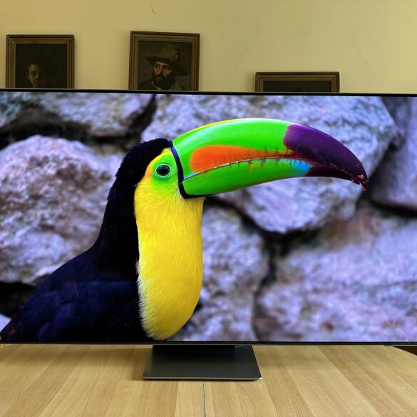 Samsung QD OLED TV QE65S95B 22