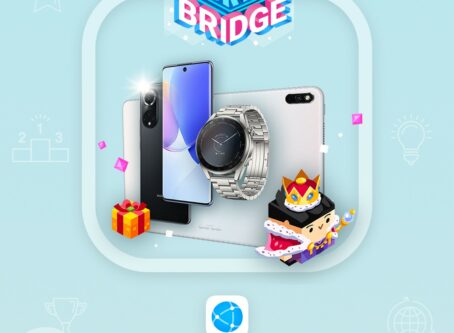 Sky Bridge Browser KV