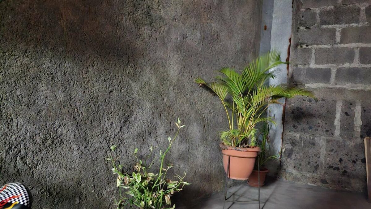 s23 ultra low light 3