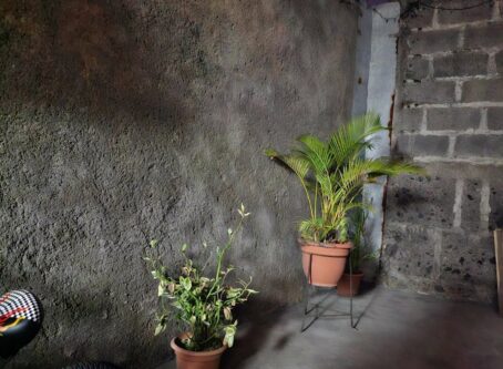 s23 ultra low light 3