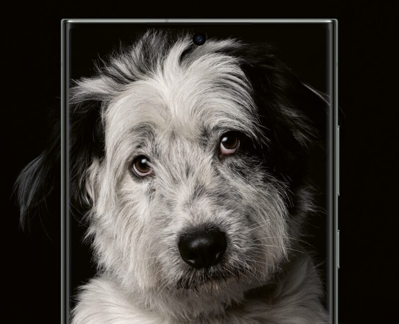 GalaxyS23Ultra FeatureVisual NightPortrait 1P SAM MAIN OPEN FILE