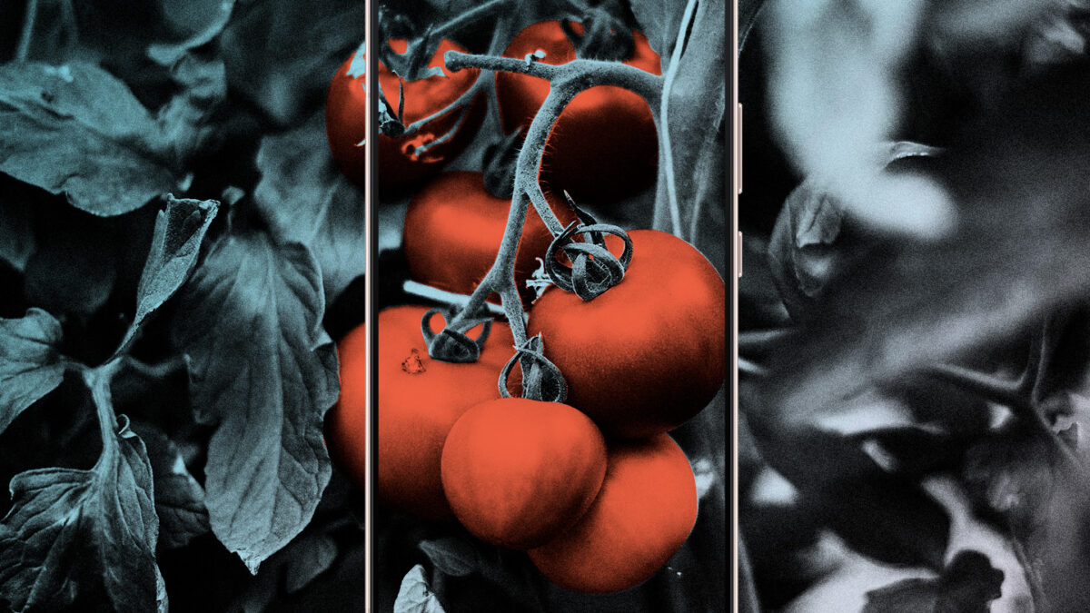 18 Bustle Find My Mobile