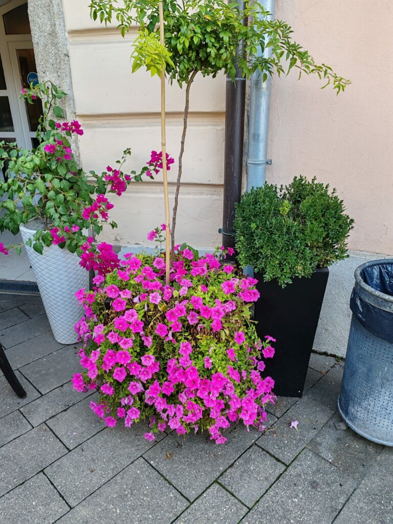 IMG 20230917 173956 2 scaled