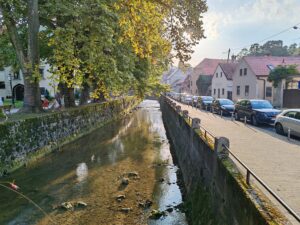 IMG 20230917 174719 scaled