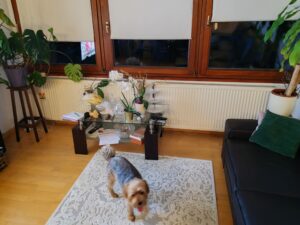 IMG 20230917 194046 scaled