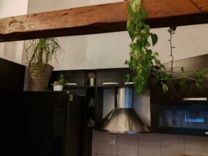 IMG 20230917 194056 scaled