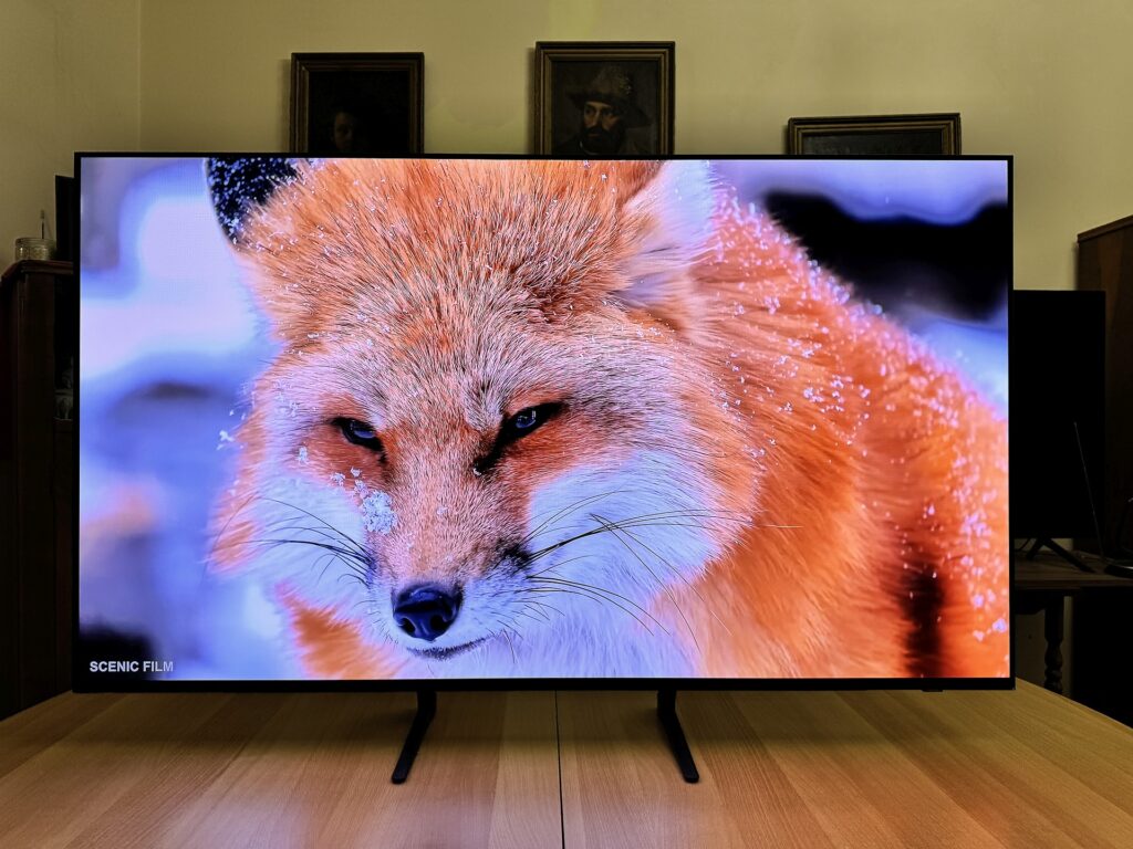 Samsung OLED TV S90C 10
