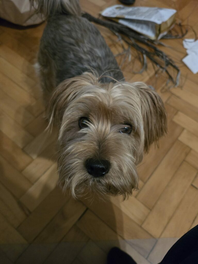 S24 Ultra camera sample 5 scaled