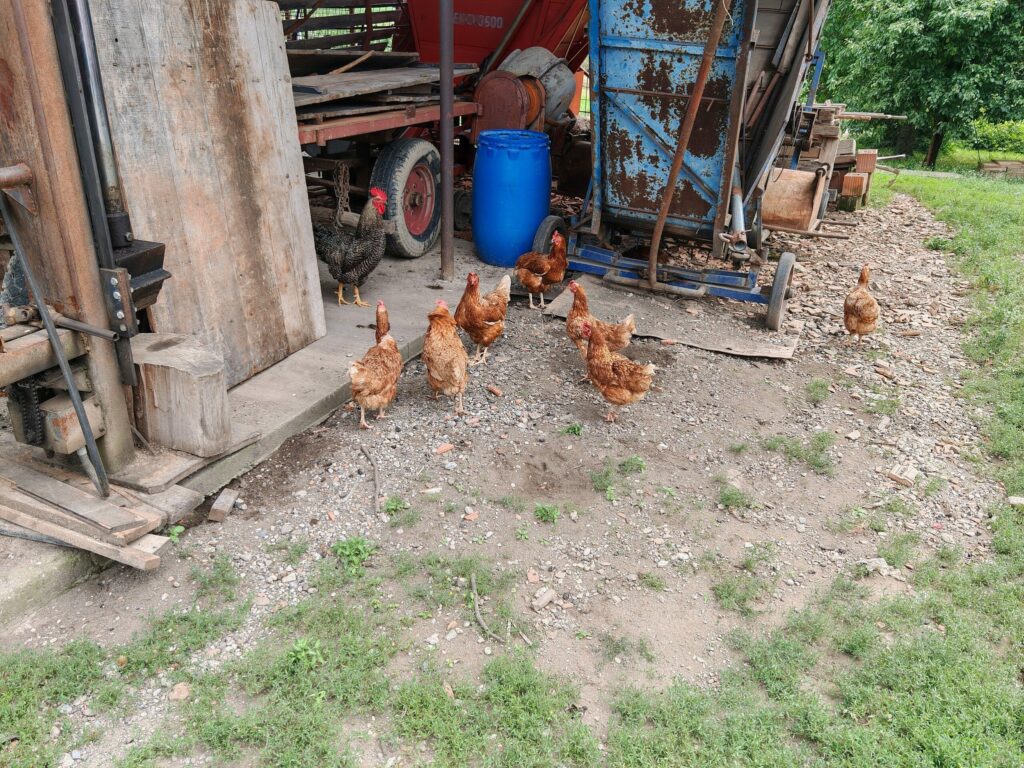 IMG 20240707 141525 scaled