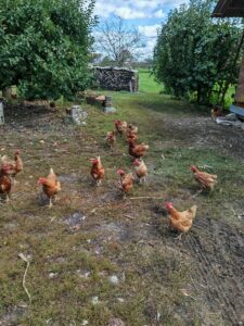 Magic V3 kamera 22 scaled