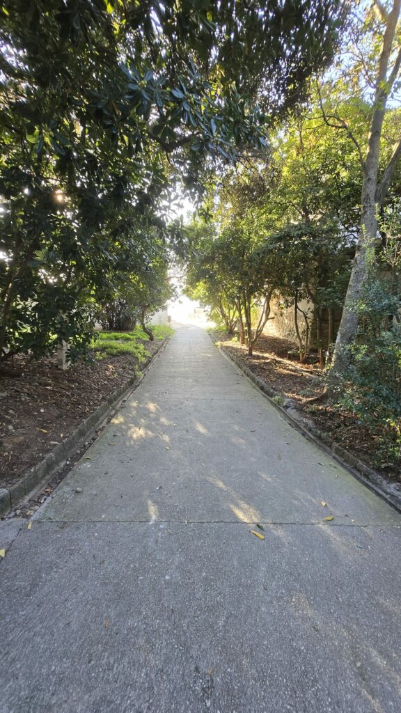 20241111 144914 scaled